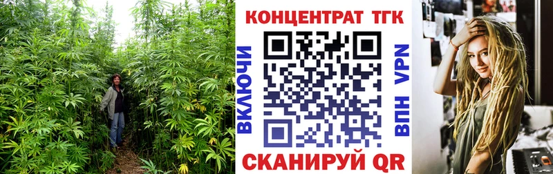 Купить закладки  Хабаровск  ТГК Wax 